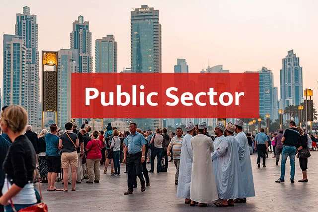 public sector digital marketing web design in dubai